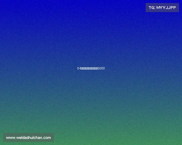 04年起亚千里马自动波仅售5000