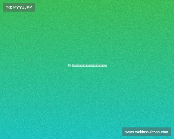 10.8万的房车是什么样？途酷金杯小海狮，高性价比车型