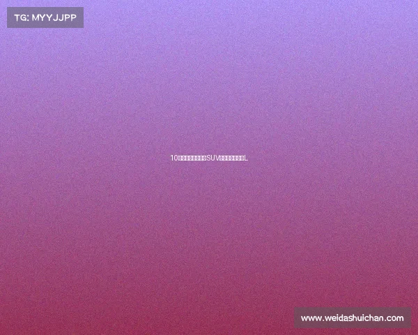 10万内最好开的燃油SUV？试驾吉利缤越L