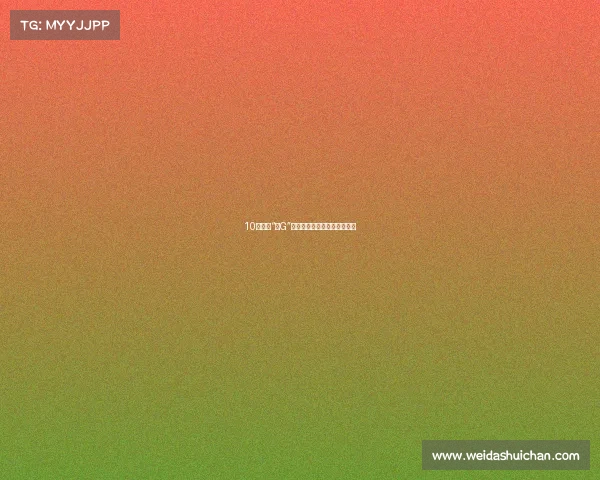 10来万买“大G”！哈弗大狗的真实售价太香了