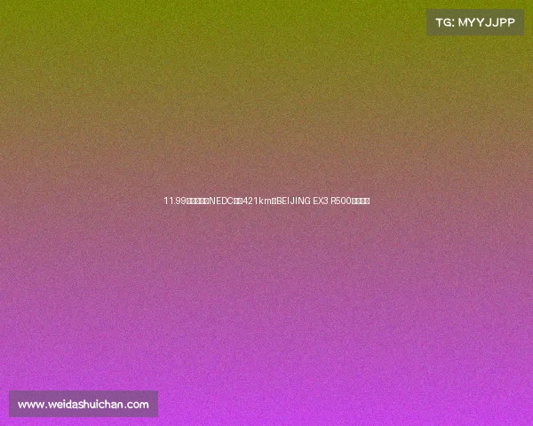 11.99万元起售，NEDC续航421km，BEIJING EX3 R500怎么样？