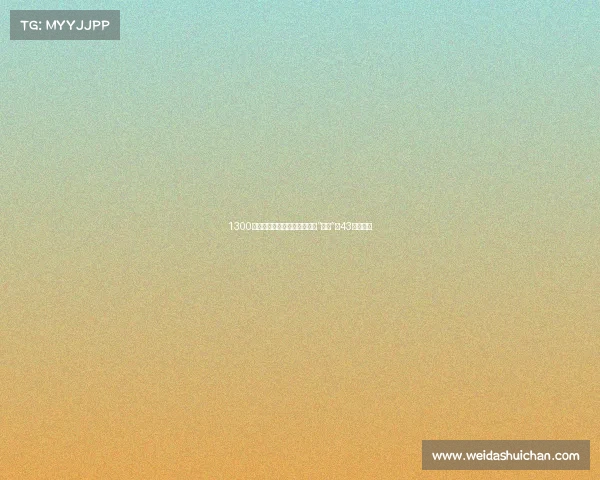 1300的宝马水鸟要来了！细说宝马“鸟儿”的43年编年史