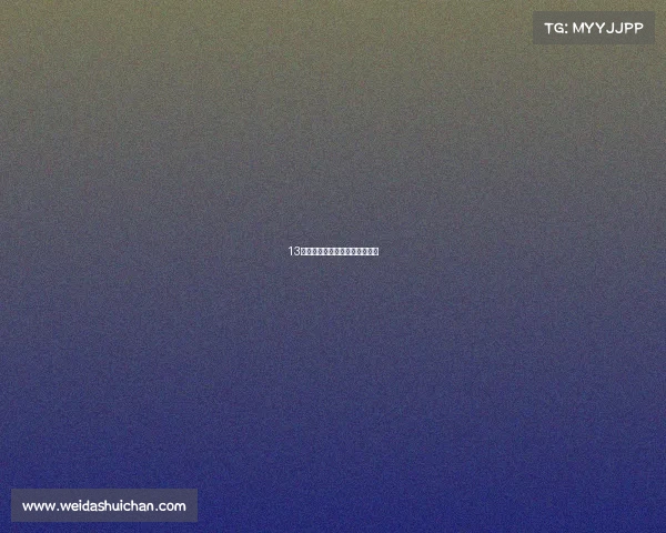 13万，新款双龙柯兰多，看好吗？