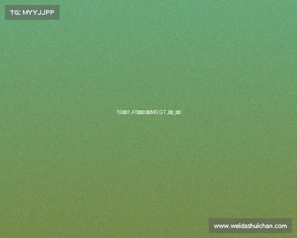 15万元1.4T该选谁 对比MG GT_明锐_菲翔 15万元1.4T该选谁 对比MG GT_明锐_菲翔