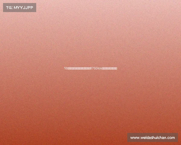 16万放弃大众帕萨特提了速派,开了8750Km后,车主一肚子话要说 16万放弃大众帕萨特提了速派,开了8750Km后,车主一肚子话要说